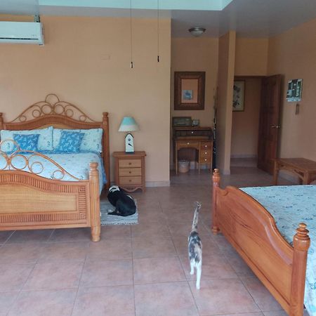 Gone Fishing Panama Resort ボカ・チカ エクステリア 写真