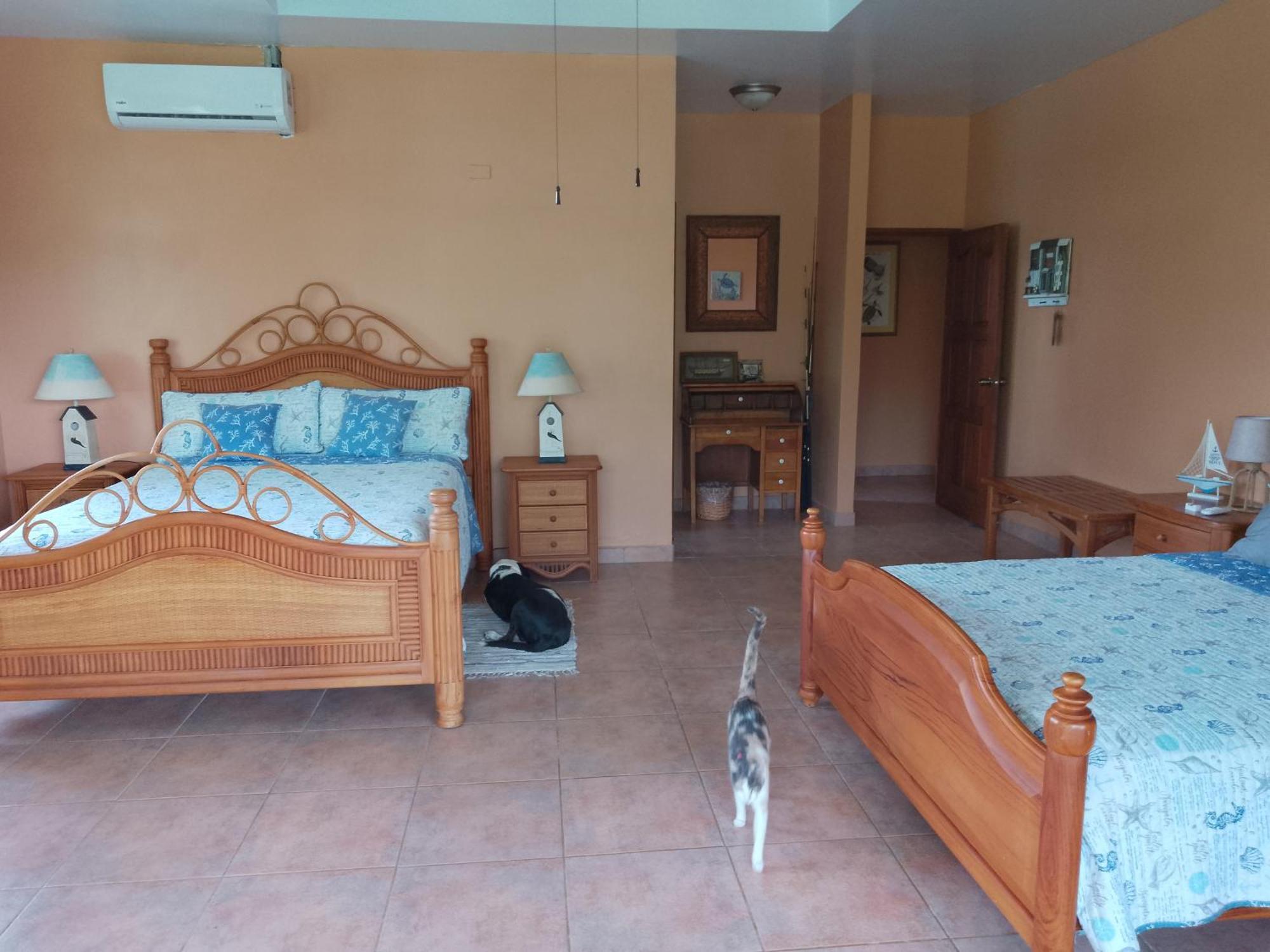Gone Fishing Panama Resort ボカ・チカ エクステリア 写真